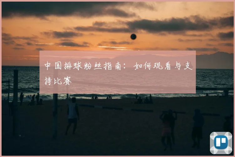 中国排球粉丝指南：如何观看与支持比赛
