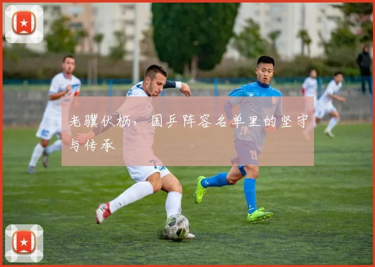 老骥伏枥，国乒阵容名单里的坚守与传承