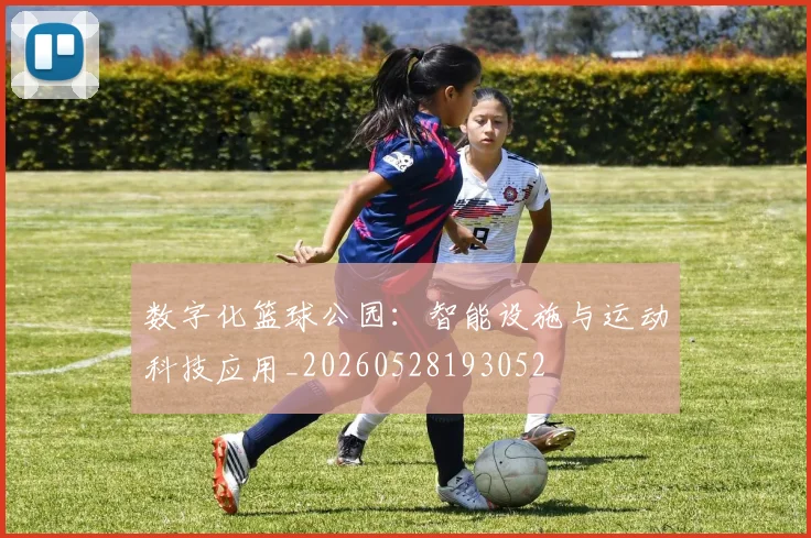 数字化篮球公园：智能设施与运动科技应用_20260528193052